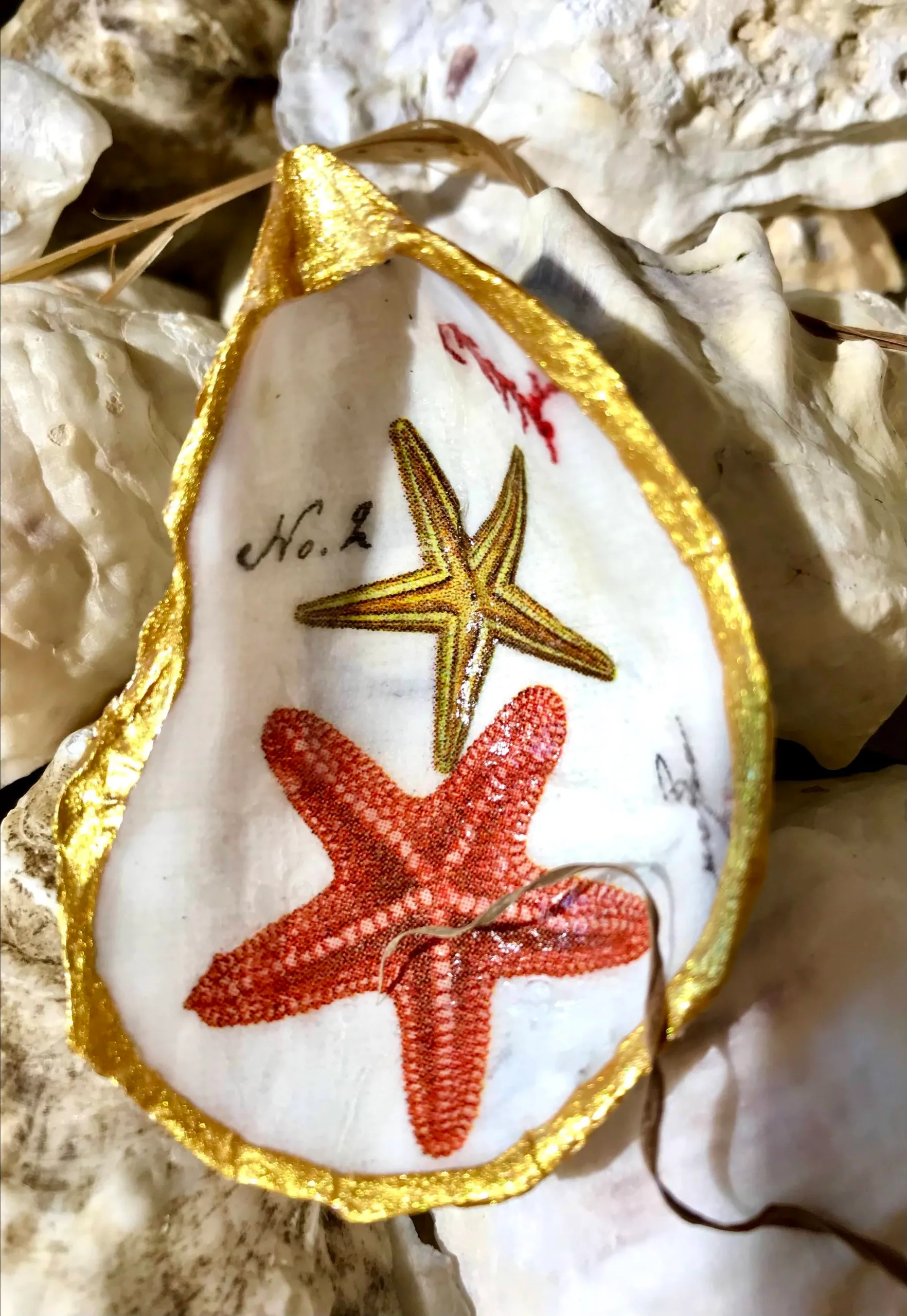 Trinket Dish the Red Coral Collection - Image 8