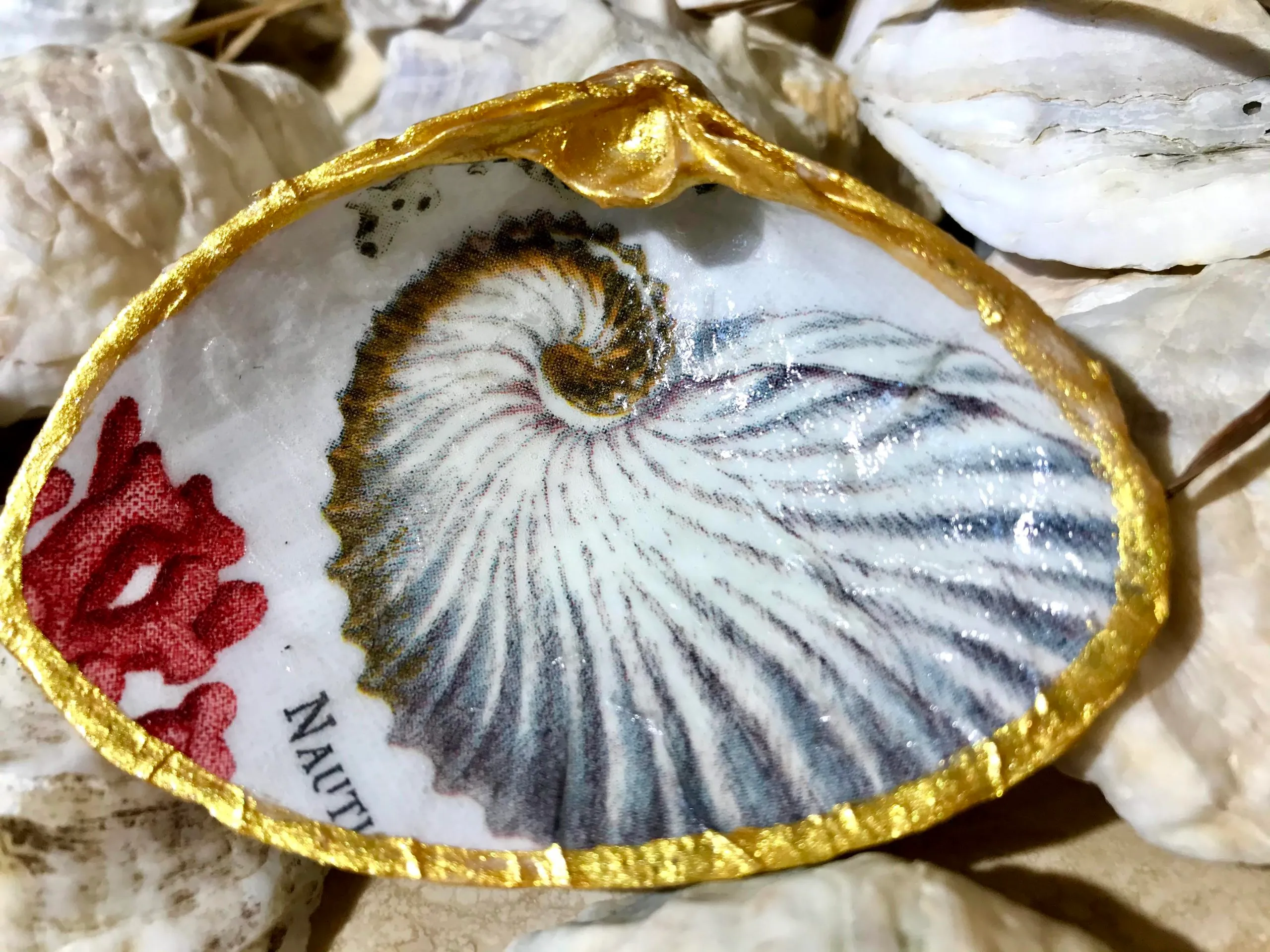 Trinket Dish the Red Coral Collection - Image 6