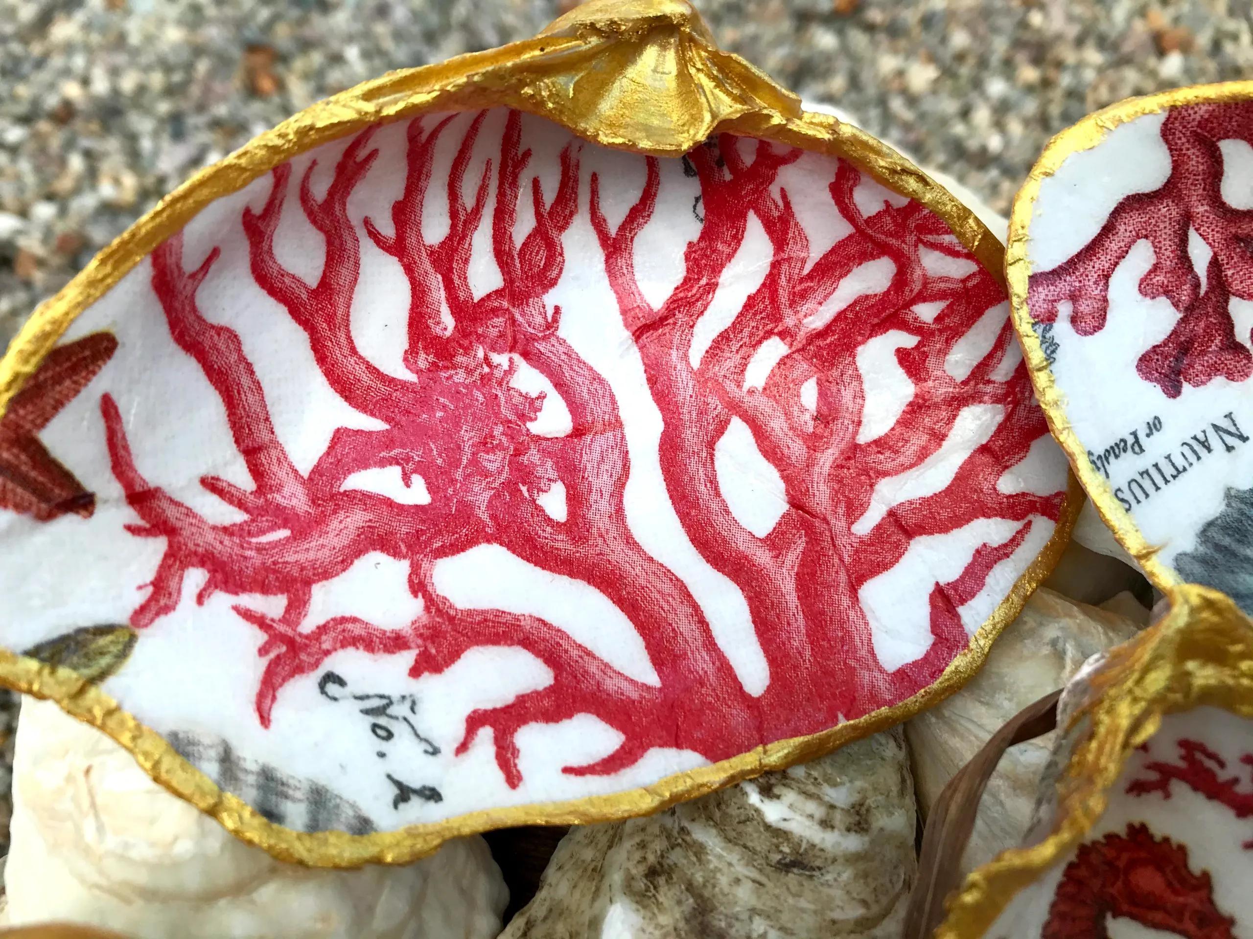Trinket Dish the Red Coral Collection - Image 4